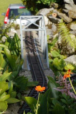 Bahnbrücke mit Blume im Vordergrund. Focus ist auf der Blume. 